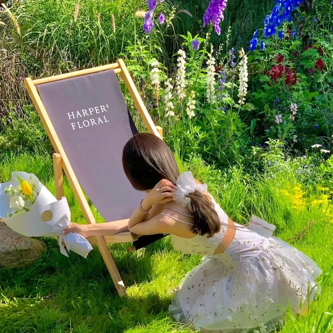 爱情动物