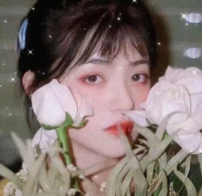 多米娜第一季